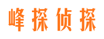 海丰市调查公司